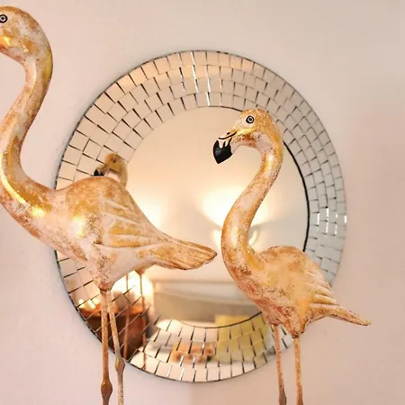 Minea Ii Costa Calma