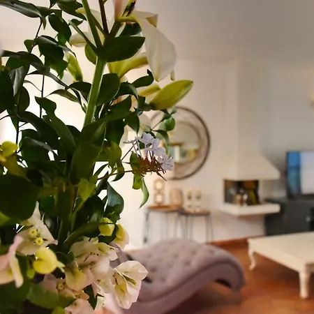 Minea Ii * Коста Калма