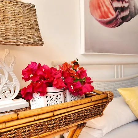 Minea Ii * קוסטה קלמה